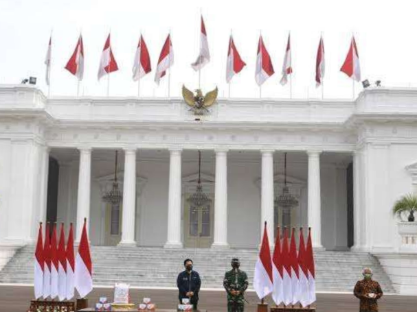 Istana Negara Indonesia