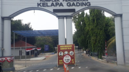 Kodamar Kelapa Gading